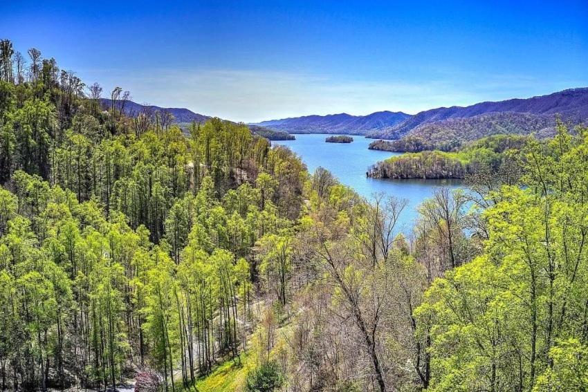 Iron Mountain Lodge - Beautiful Cabin With Forest & Mountain Views! Butler Eksteriør bilde