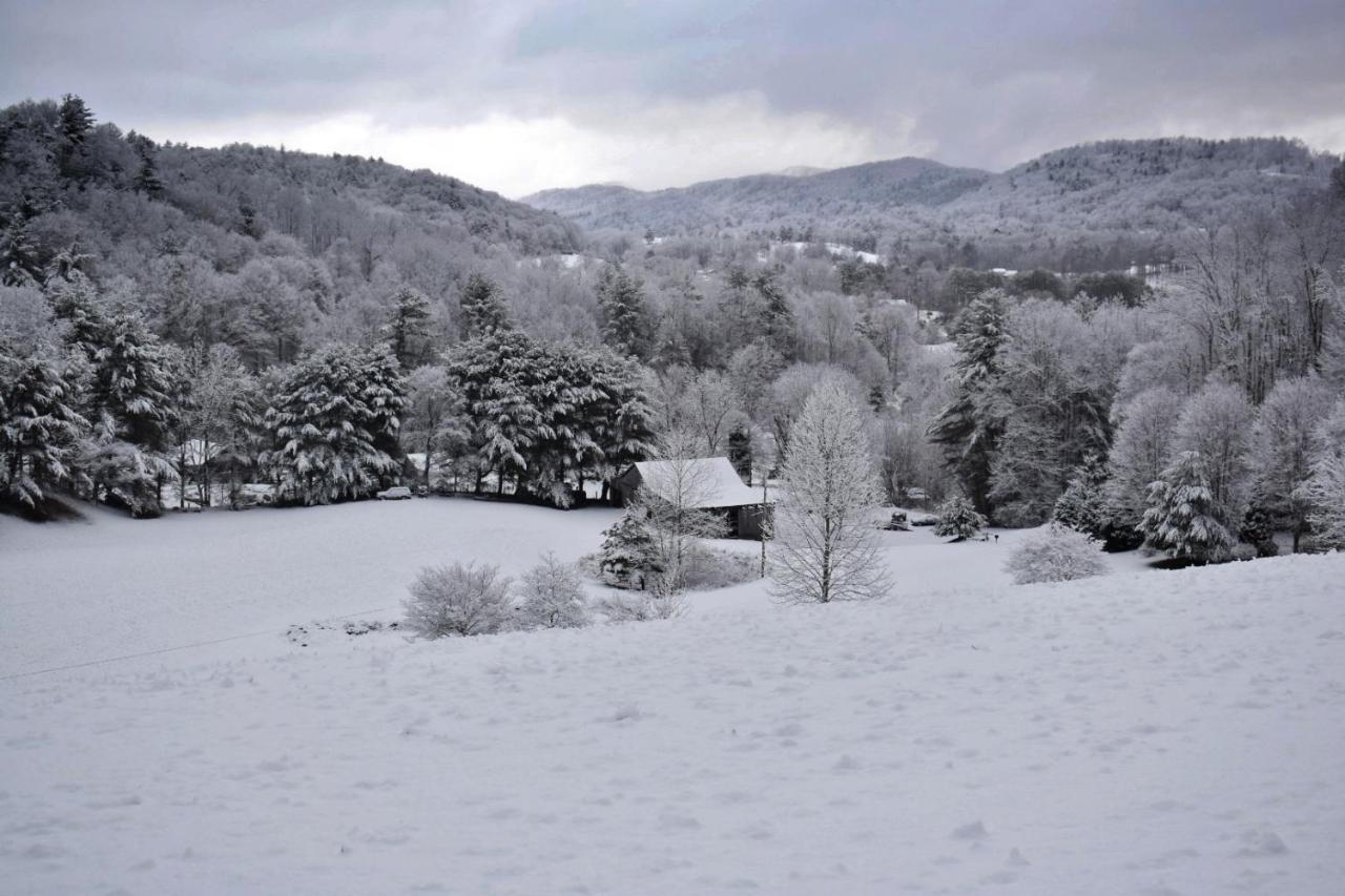 Iron Mountain Lodge - Beautiful Cabin With Forest & Mountain Views! Butler Eksteriør bilde